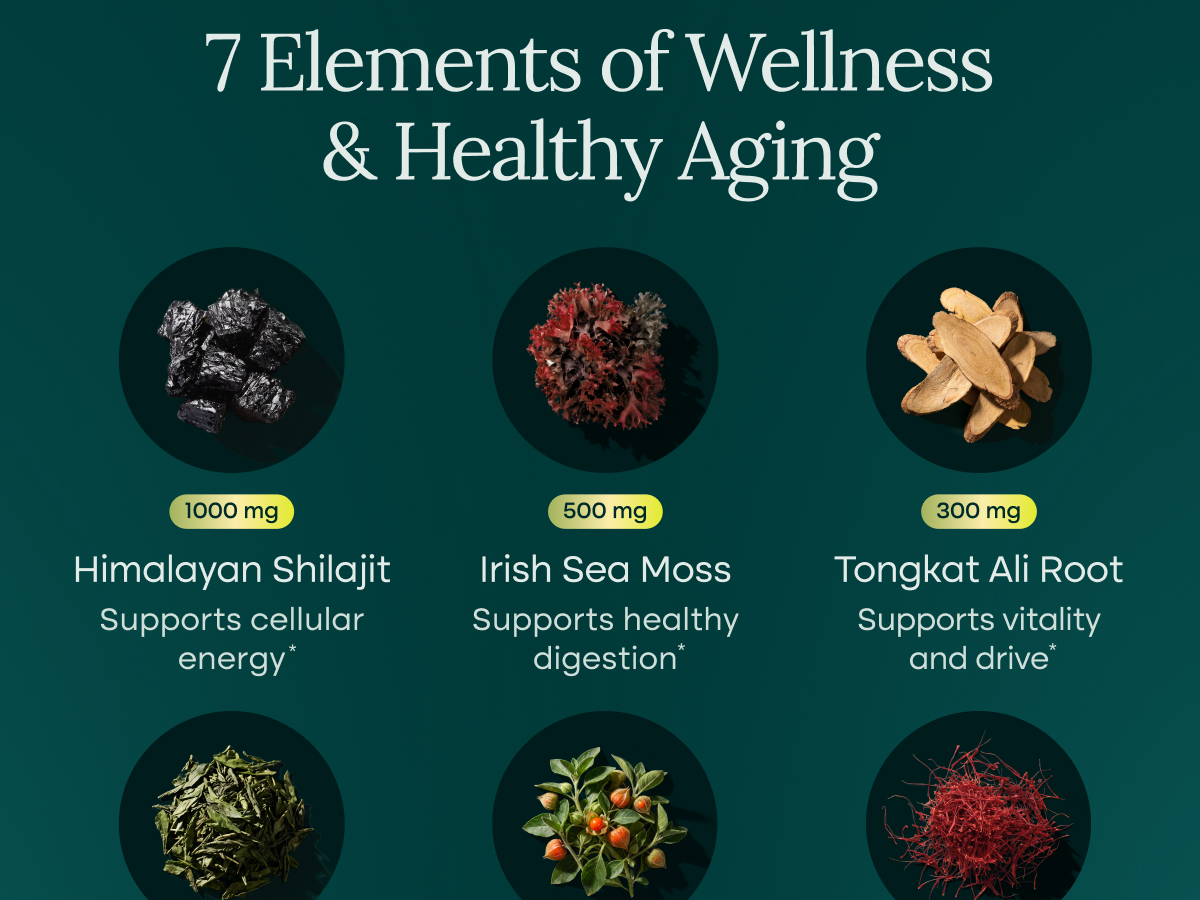Shilajit Capsules with Organic Irish Sea Moss & Tongkat Ali for Men & Women