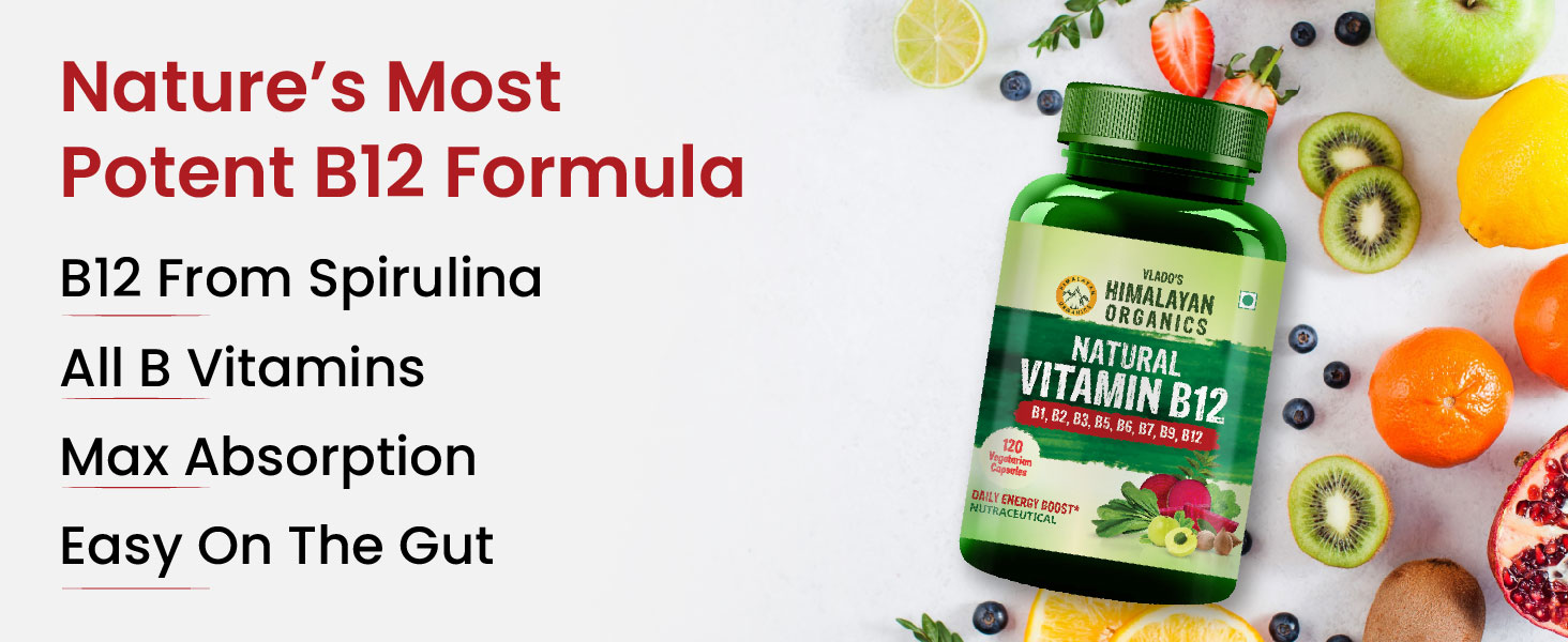 Vlado's Himalayan Organics Plant Based Vitamin B12 Supplement | B1,B2,B3,B5,B6,B7,B9,Moringa| Boost Energy Level | For Memory, Brain, Heart & Nervous System Support | B12 supplement for Men & Women - 120 Veg Capsules