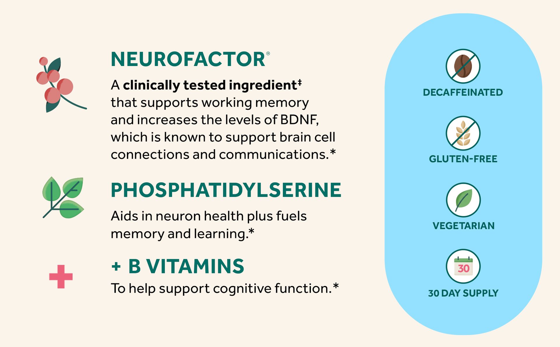 NEURIVA Plus Brain Supplements for Memory and Focus, Clinically Tested Nootropics Neurofactor and Phosphatidylserine, with Vitamin B12, Vitamin B6 and Folic Acid, 30 Count Capsules