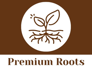 CARMEL ORGANICS Shatavari Root Powder 100 Grams