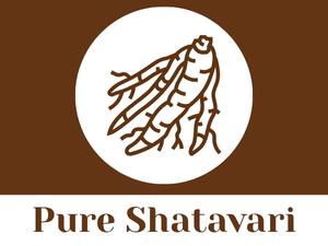 CARMEL ORGANICS Shatavari Root Powder 100 Grams