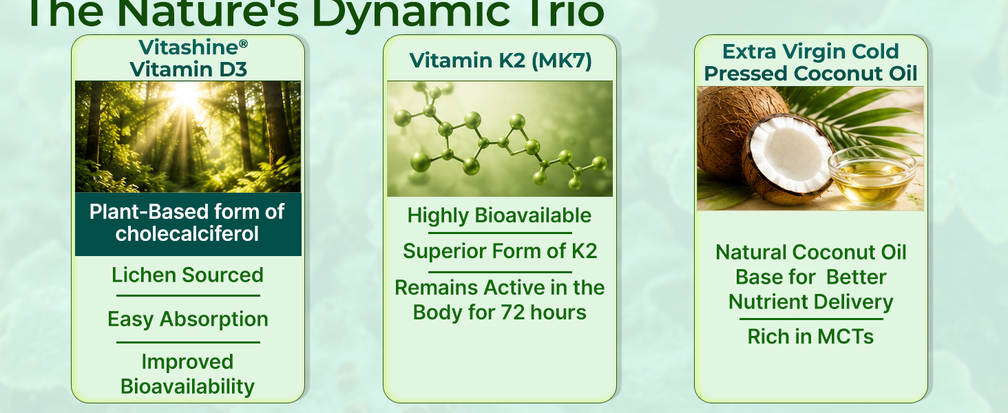 INLIFE Vitamin D3 600 IU K2 MK7 55mcg, Plant Based Lichen, 60 Veg Capsules