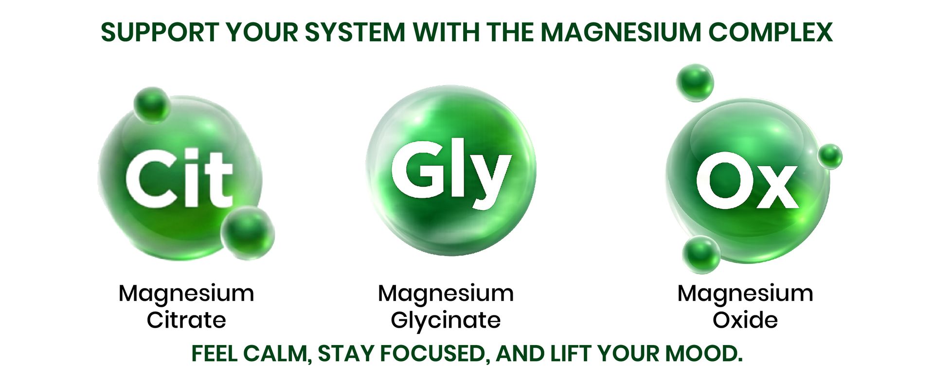 Himalayan Organics Magnesium Citrate + Glycinate + Oxide Complex Supplement For Mens & Womens - 10 Tablets (Trail Pack)