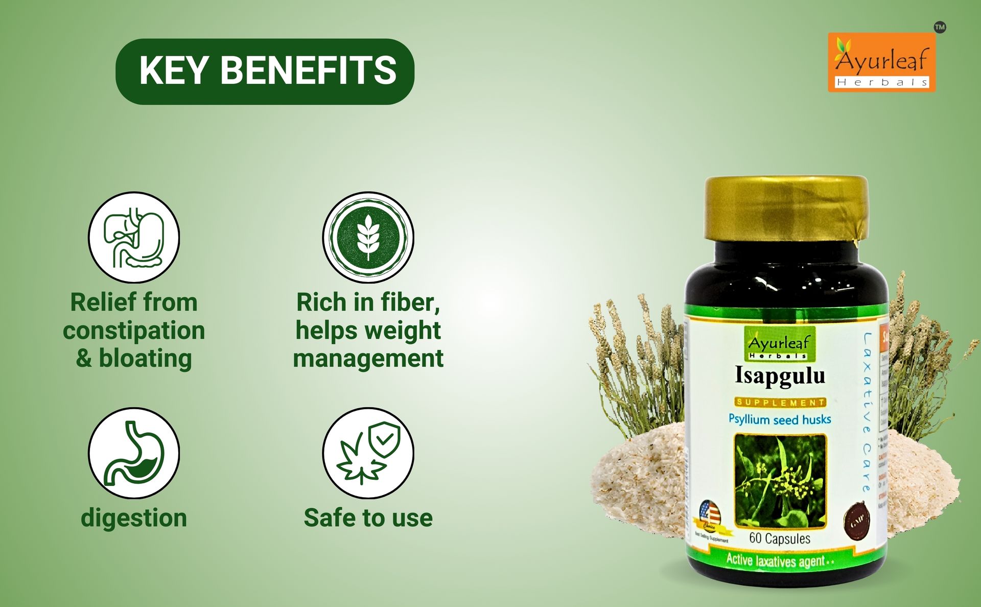 Ayurleaf Herbals Isapgulu Husk Capsules | For Better Digestion, Fiber Supplement & Constipation | 100% Natural Herbal supplement (Pack of 2, 120 Capsules)