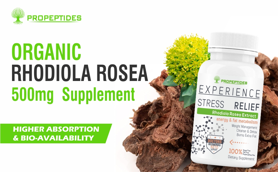 Rhodiola Rosea 500mg Adaptogen Supplement with Bioperine, Standardized 5% Salidroside | Vegetarian Tablets for Energy, Focus & Stress Support, Non-GMO, 60 Tablets