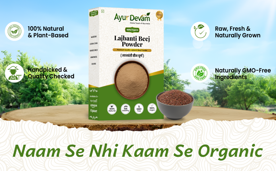 Lajwanti Seeds Powder / लजबंती बीज चूर्ण | Chui Mui Powder (100 Gram)