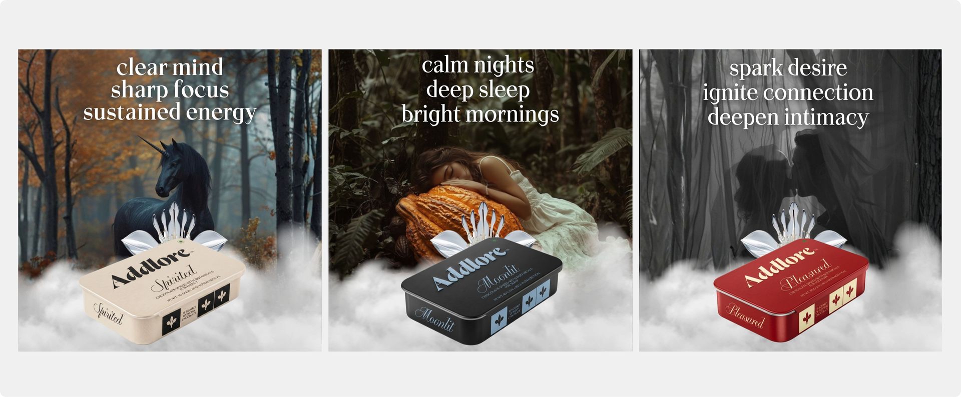 Spirited Daily Brain & Focus Supplement | Lion's Mane + Cordyceps Mushroom + Phosphatidylserine + Caffeine 65mg | 4-in-1 Nootropic | Mental Clarity & Memory | Bean-to-Bar Artisan 50% Cacao Dark Chocolate | 16 Servings | Alternate Medicine | Mushroom