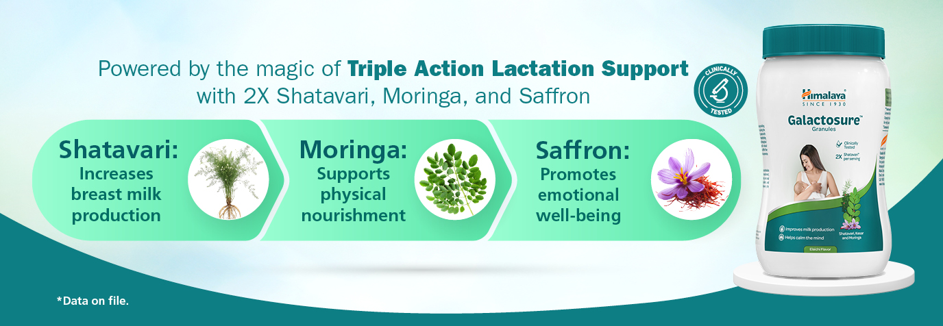 Himalaya Galactosure | Lactation Supplement | Shatavari| Moringa, Saffron|Elaichi flavour|200 gm| Galactosure Granules for breast feeding (Pack of 2)