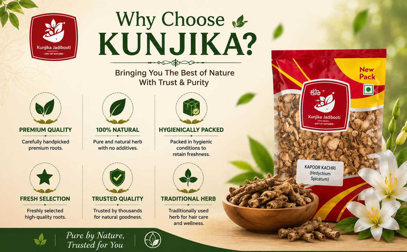 Kunjika Jadibooti Kapoor Kachri - Kapur Kachri - kachli - Ginger Lily - karchuralu - Hedychium Spicatum - Ekangi - Spiked Gingen Lily - 100 gm