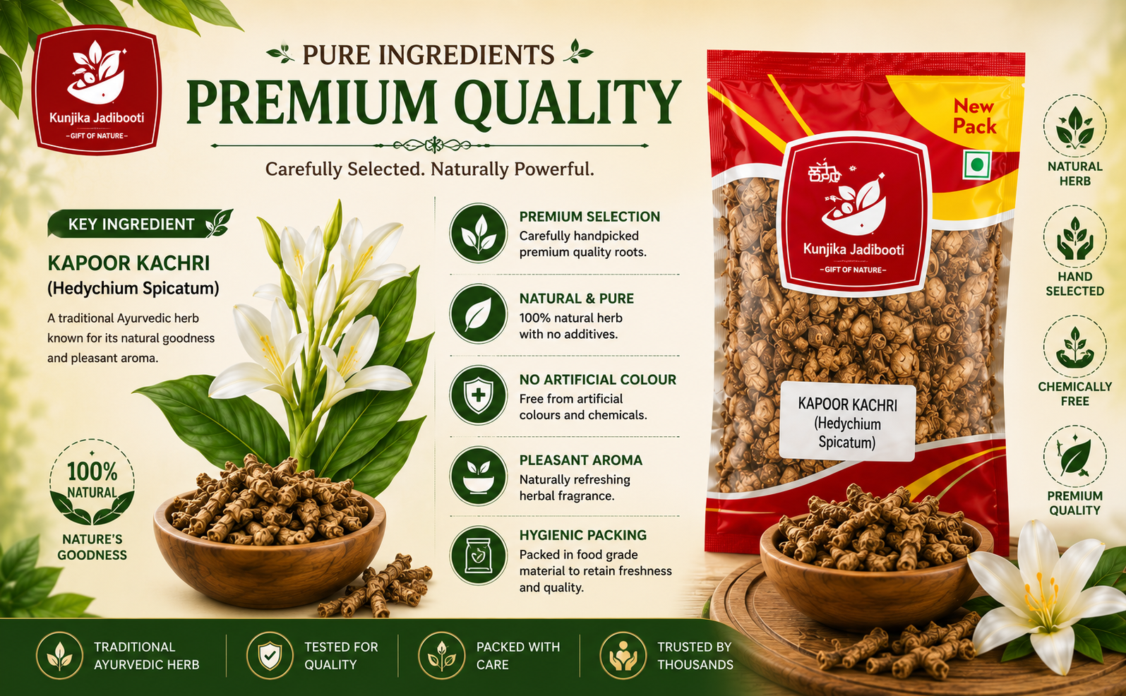 Kunjika Jadibooti Kapoor Kachri - Kapur Kachri - kachli - Ginger Lily - karchuralu - Hedychium Spicatum - Ekangi - Spiked Gingen Lily - 100 gm