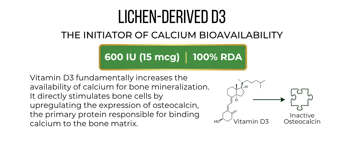 Vegan D3 K2 B12 & Omega 3 DHA Tablets | 4-in-1 Daily Essential Supplement | Bone, Brain, Heart & Energy Support | D3 (Lichen) + K2 MK-7 (Natto) + B12 + 250mg Algal DHA | 120 Veg Tablets (120 Days)