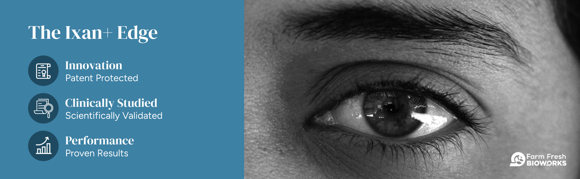 ixan+ Eye Care Supplement I Clinically Validated Patented iXAN I Eye Wellness & Visual Comfort | Defense against Oxidative & Inflammatory Stress I Support for Normal Eye Function | Supports Retina and Macular Eye Health I Supports Visual Ease During Digital Device Use | With Curcuminoids, Lutein & Zeaxanthin I 60 Veg Capsules