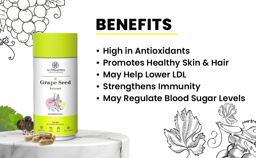 NUTRIHERBS Grape Seed Extract Capsules 500mg - Potent Antioxidant Supplement for Skin & Hair Health, Anti-Aging Support, and Immune Boost - 90 Vegan Capsules Pack of 3