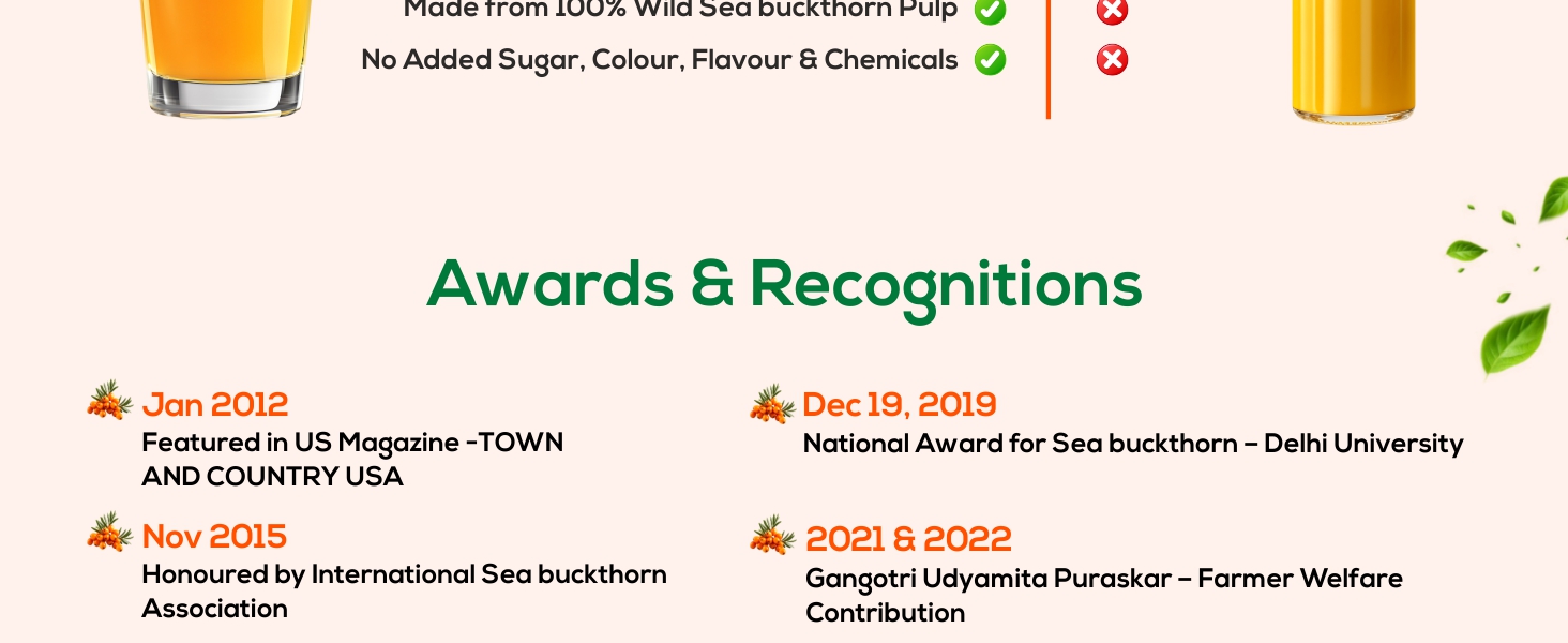 Biosash Himalayan Wellsash Sea Buckthorn Juice with Seed Oil 250ml | Cold-Pressed Organic Antioxidant | Detox Drink & Immunity Booster | No Sugar | Makes 50 Glasses | for Skin, Heart, Brain, Liver