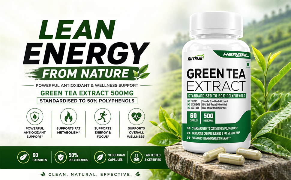 NutriJa Green Tea Extract 500mg | Standardized to 50% Polyphenols | 60 Capsules | Herbal Daily Wellness Supplement