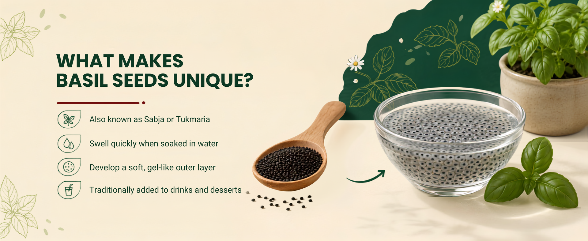 The Vital Co Sabja Seeds 250g | Basil Seeds Tukmaria for Falooda Drinks Desserts | High Fibre Natural Cooling Superfood | Healthy for Digestion Weight Management