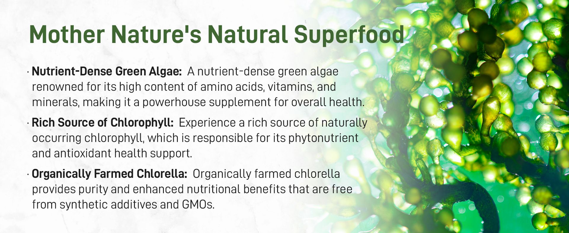 Organic Chlorella Tablets, 500mg Per Tablet, 720 Tabs (360 Grams), 4 Months Supply, Broken Cell Wall, Rich in Vegan Protein & Vitamins, No Filler, No Additives & Non-GMO | Pure Green Algae Superfood