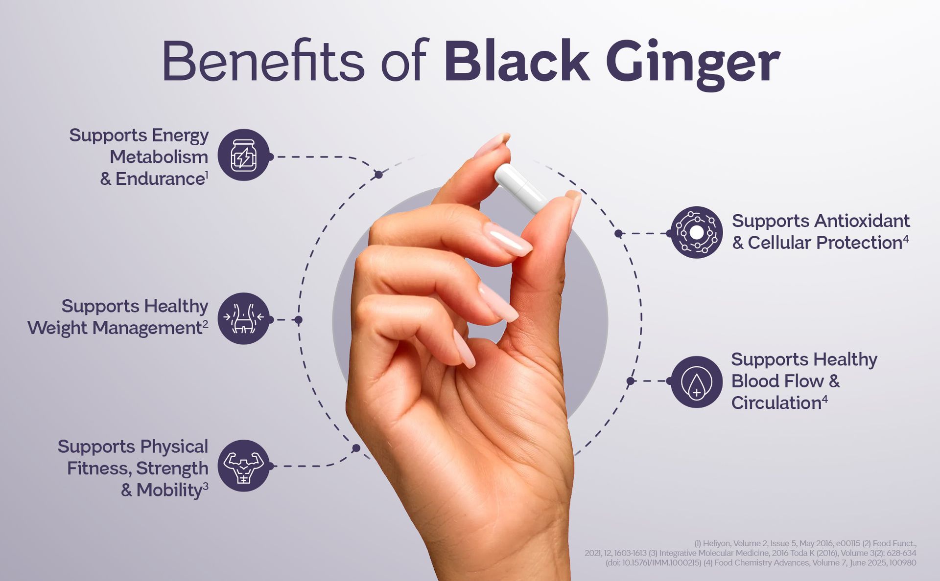 Black Ginger Capsules 1400 mg | Contains 1% DMF (5,7-Dimethoxyflavone) | Thailand-Sourced Kaempferia Parviflora for Energy, Endurance, Blood Circulation & Metabolism (60 Capsules)