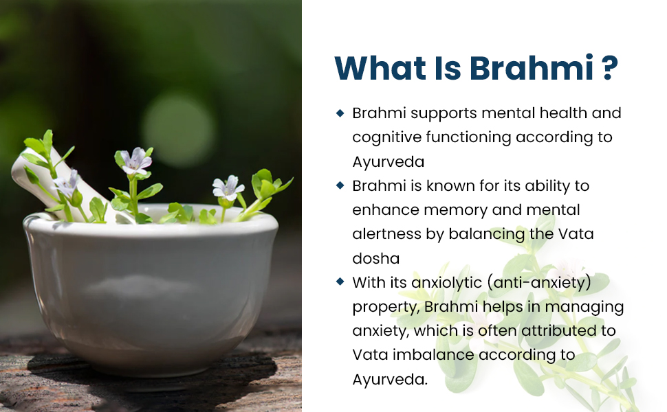 Baidyanath Ayurved Brahmi Tablets - 60 Tab | Helps To Handle Life’s Daily Stress | Promotes Mind Relaxation| (Pack of 1)