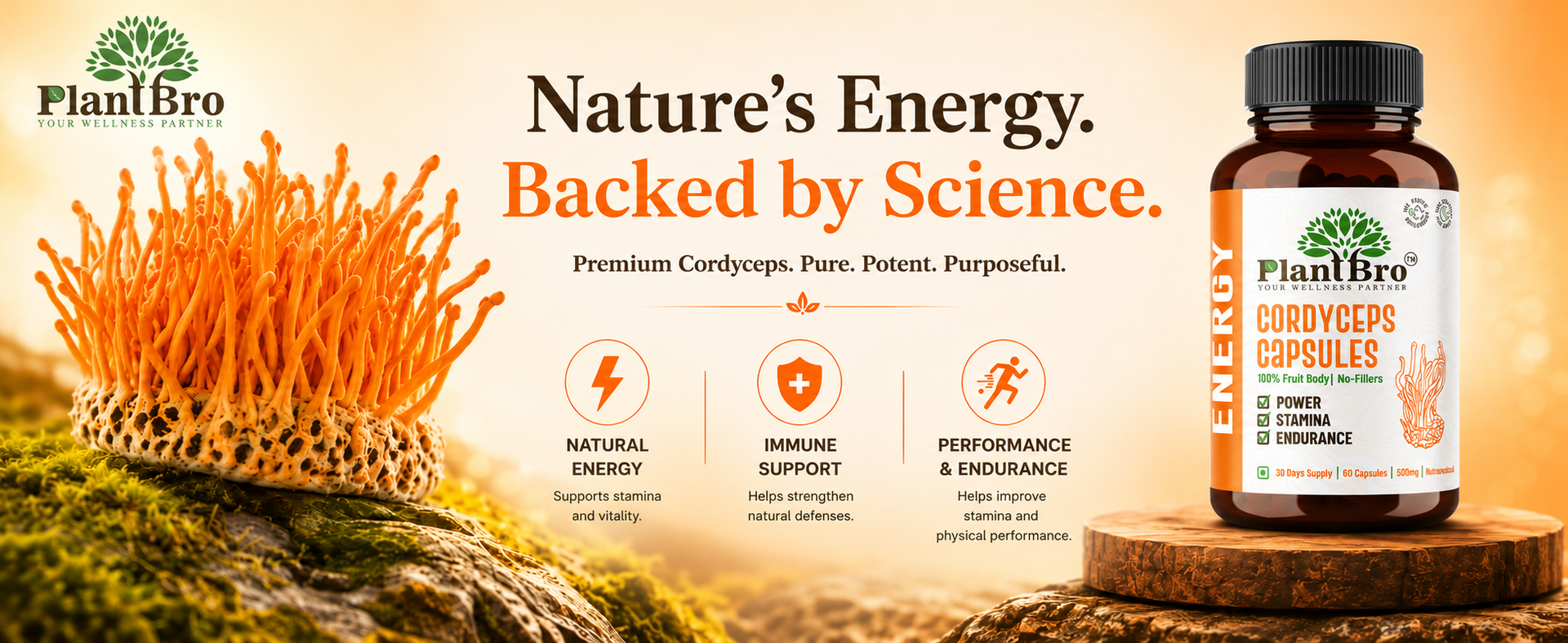Cordyceps Militaris Capsules 500mg | Natural Energy & Immunity Booster | Herbal Strength, Stamina & Endurance Supplement for Men & Women (60 Capsules)