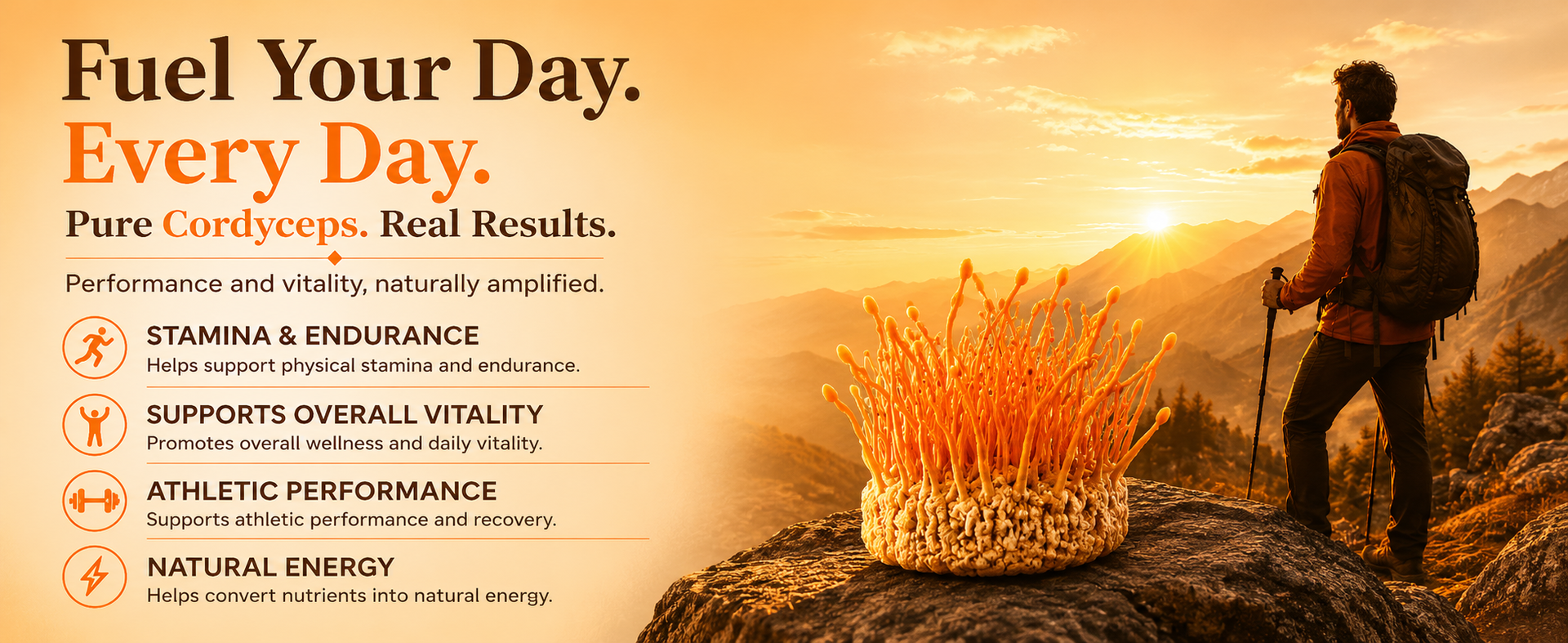 Cordyceps Militaris Capsules 500mg | Natural Energy & Immunity Booster | Herbal Strength, Stamina & Endurance Supplement for Men & Women (60 Capsules)