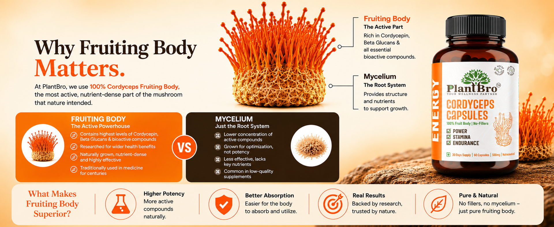 Cordyceps Militaris Capsules 500mg | Natural Energy & Immunity Booster | Herbal Strength, Stamina & Endurance Supplement for Men & Women (60 Capsules)
