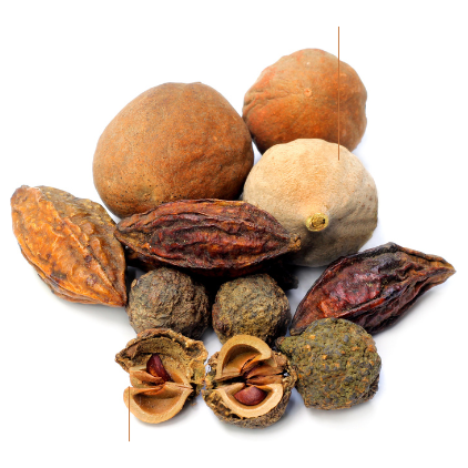 Triphala Churna With Choti Harad 1:2:4 Ratio (1 Choti Harad-2 Baheda-4 Amla) 100% Pure Powder | No Adulteration | No Preservatives | Non GMO | Hand Picked Sun Dried