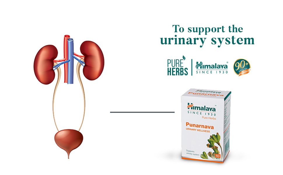 Himalaya Punarnava Tablets - 60 count (Pack of 1)