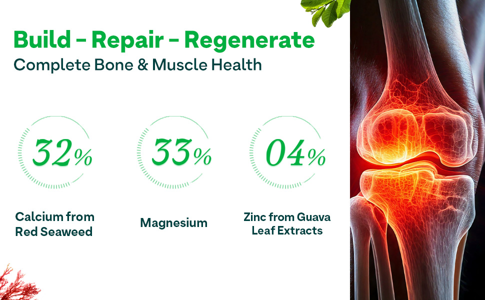 OZiva Calcium Magnesium Zinc with Vitamin D3, Bone Health, 60 Caps
