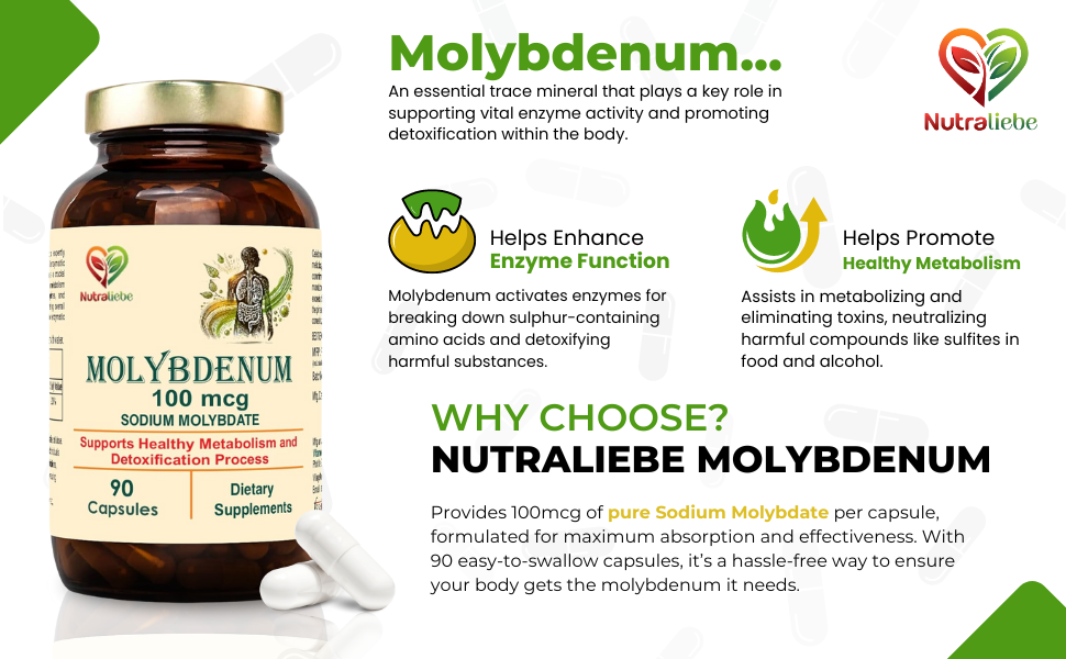 Molybdenum - Sodium Molybdate 100mcg, Supports Enzyme Function and Detoxification, 90 Capsules