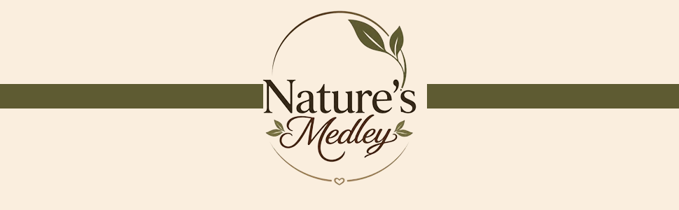 Nature's Medley Sweet Sattu Instant Shake Mix, with Dhaga Mishri and Dry Fruits, Rich in Omega, 125g