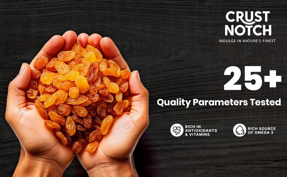 CrustNotch Raisins | Rich in Iron & Vitamin B Fibre & Potassium | Golden Kishmish | Dry Fruits | Healthy and Tasty Snacks | Dried Grapes | (450 gm)