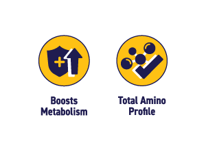 STROOM Protein Bar | Cookie Crunch Delight | Pack Of 5 Bars