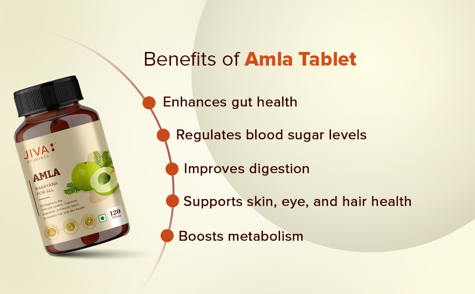 Jiva Amla Tablets 100% Pure Herbs Used, Rich In Vitamin C | Protects Against Free Radicals | Rich In Antioxidants - 120 Tablet (Pack of 1)