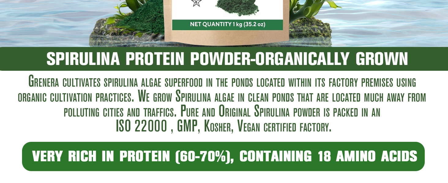 Grenera Spirulina Powder | Protein Algae Superfood Supplement | Natural With No Artificial Additives | 1 kg