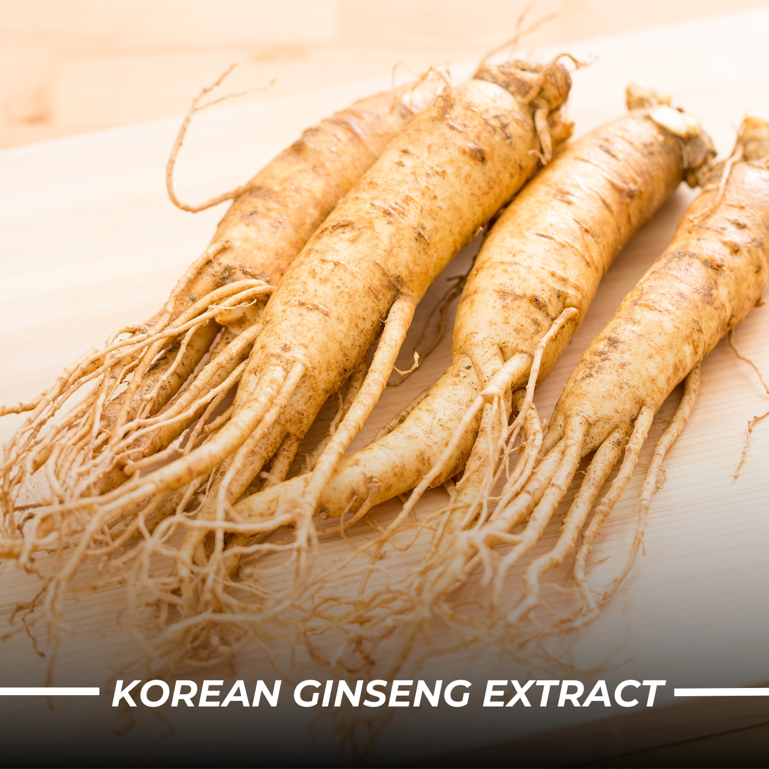 Humming Herbs Red Korean Ginseng with Ginkgo Biloba Leaf, Siberian Ginseng, Supports Energy, Concentration, Immune system and Improves Mental Clarity Bio-available Supplement
