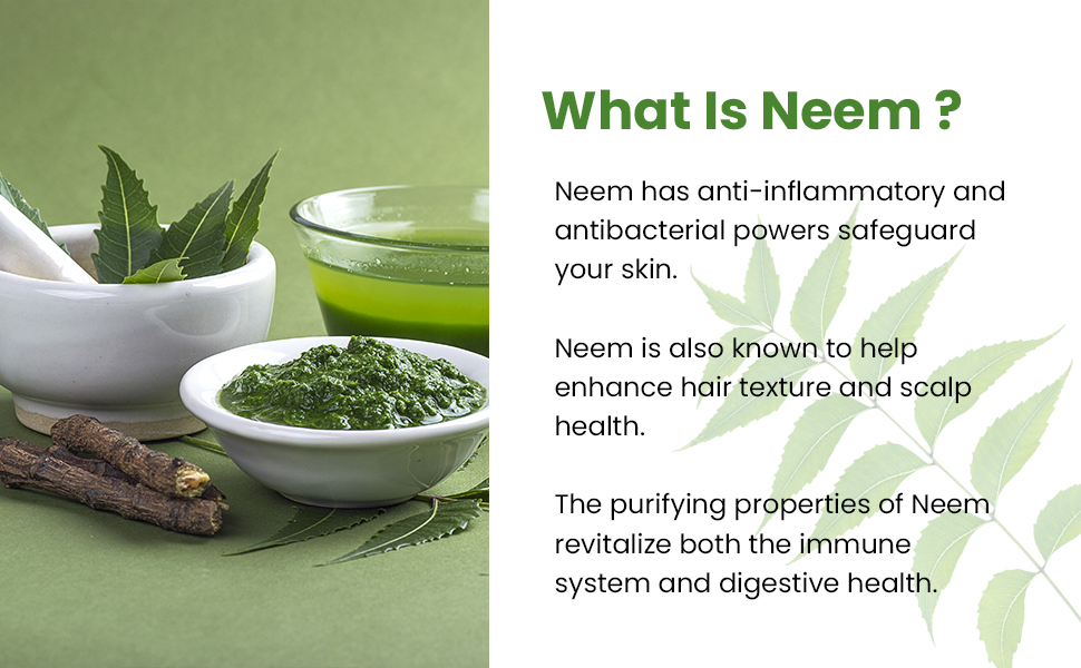 Baidyanath Ayurved Neem 60 Tablets | Ayurved Herb For healthy Skin & Hair, Natural Extracts Of Neem | Helps In Purification of Blood Boosting, Liver Health (Pack of 2)