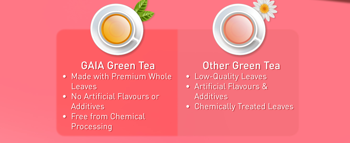 GAIA Assorted Green Tea - 25 Tea Bags (Pack Of 2)| Discover The Variety Of Refreshing Flavors Of Green Tea With Assorted Collection Of Five Flavors!, 210 Gram
