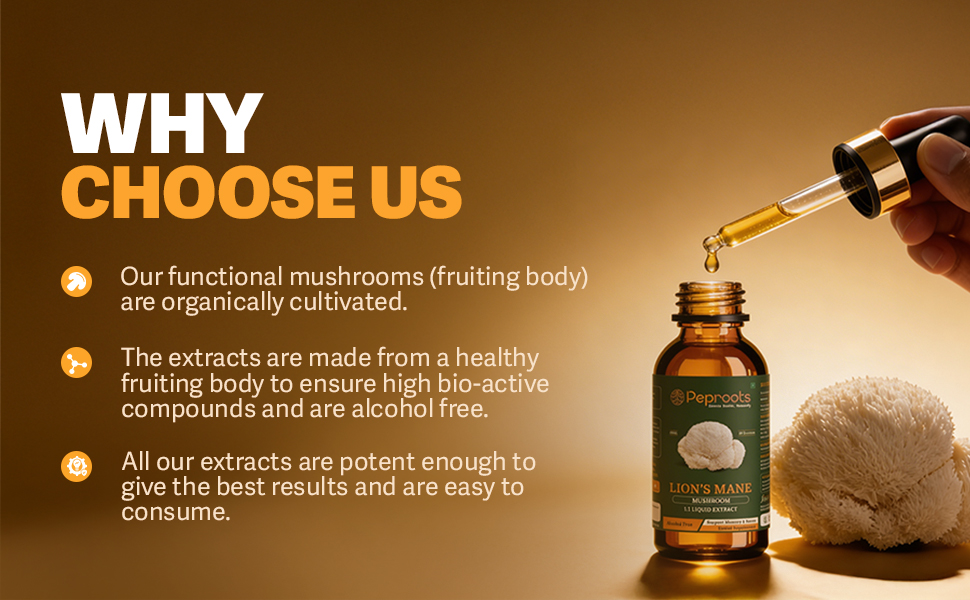 Lion’s Mane Mushroom Supplement | Liquid Extract | Supports Memory, Focus & Mental Clarity | Natural Nootropic | Alcohol-Free