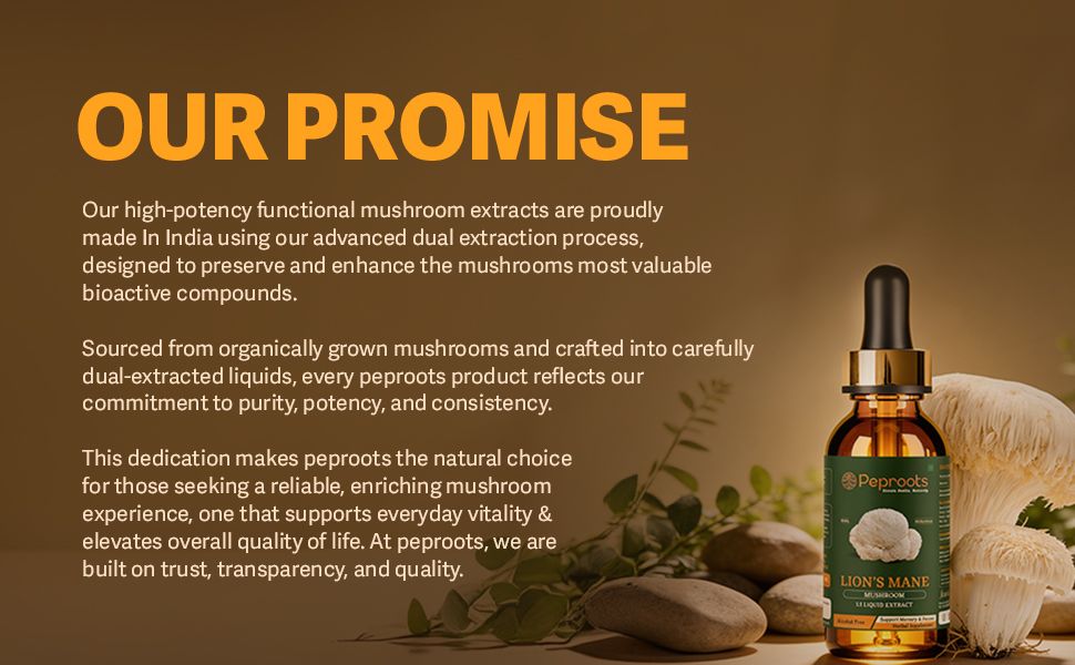 Lion’s Mane Mushroom Supplement | Liquid Extract | Supports Memory, Focus & Mental Clarity | Natural Nootropic | Alcohol-Free