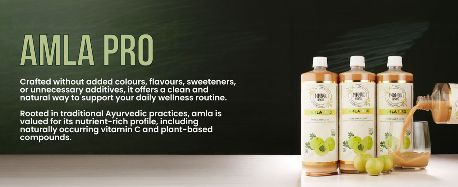 Amla Pro: 100% Raw & Cold-Pressed Amla Juice | Supports Healthy Skin, Hair, and Digestion | Rich Source of Vitamin C | 1Ltr | Pack of 1