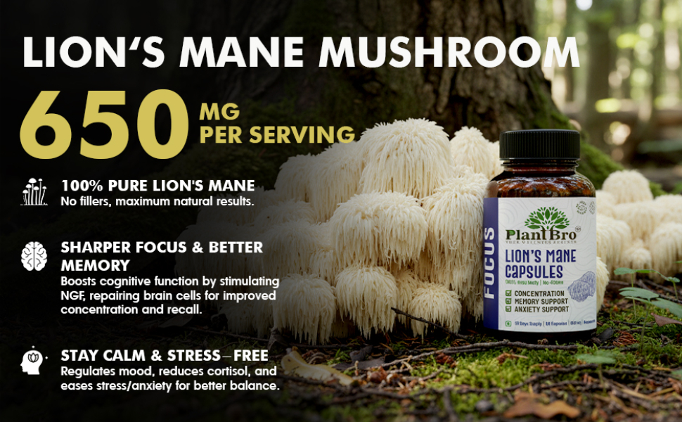 Lion's Mane Mushroom Extract 60 Capsules - 10:1 Concentrate for Focus, Memory & Brain Clarity - Nootropic Supplement for Students & Professionals - Vegan, Non-GMO, FSSAI Certified
