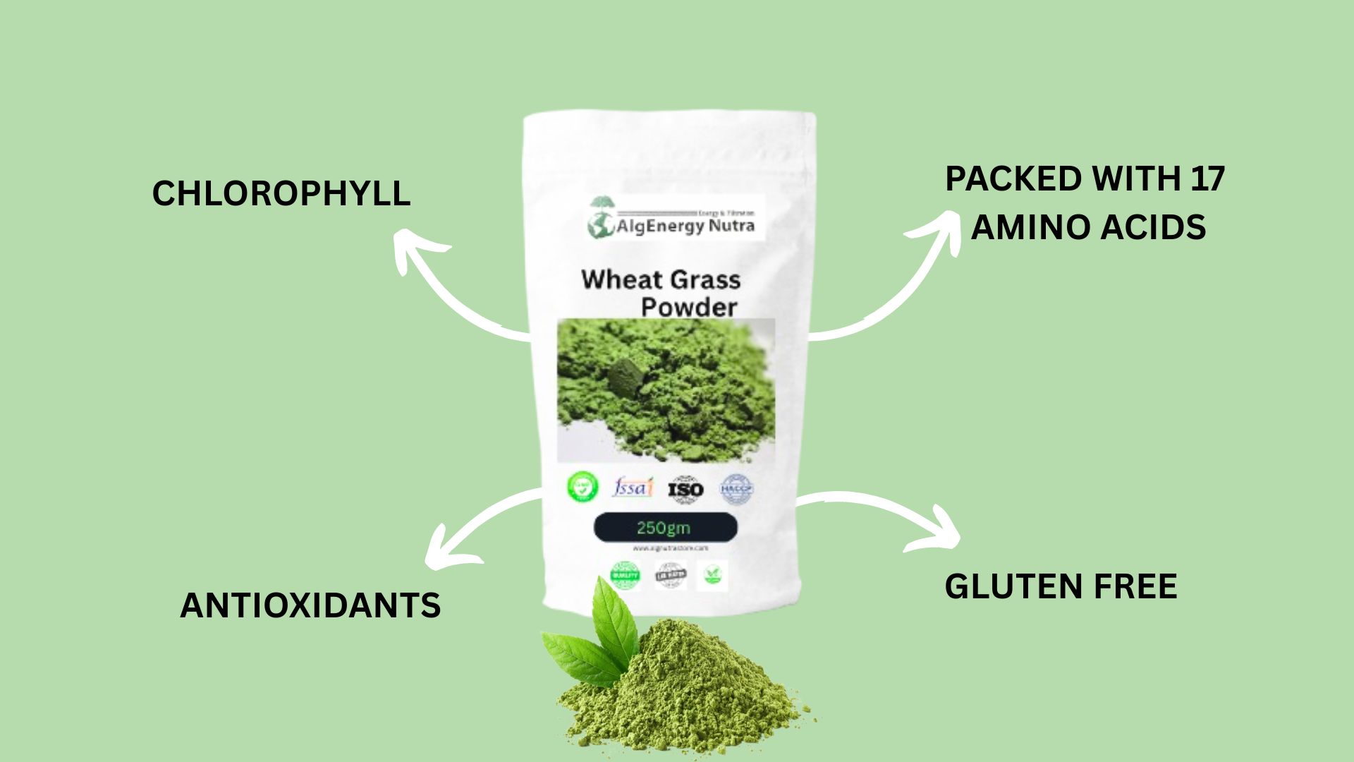 Wheat Grass Powder | Organic Green Superfood for Detox, Immunity & Energy | Rich in Chlorophyll & Antioxidants | Vegan, Gluten-Free | Natural Nutrition Support (1 KG)