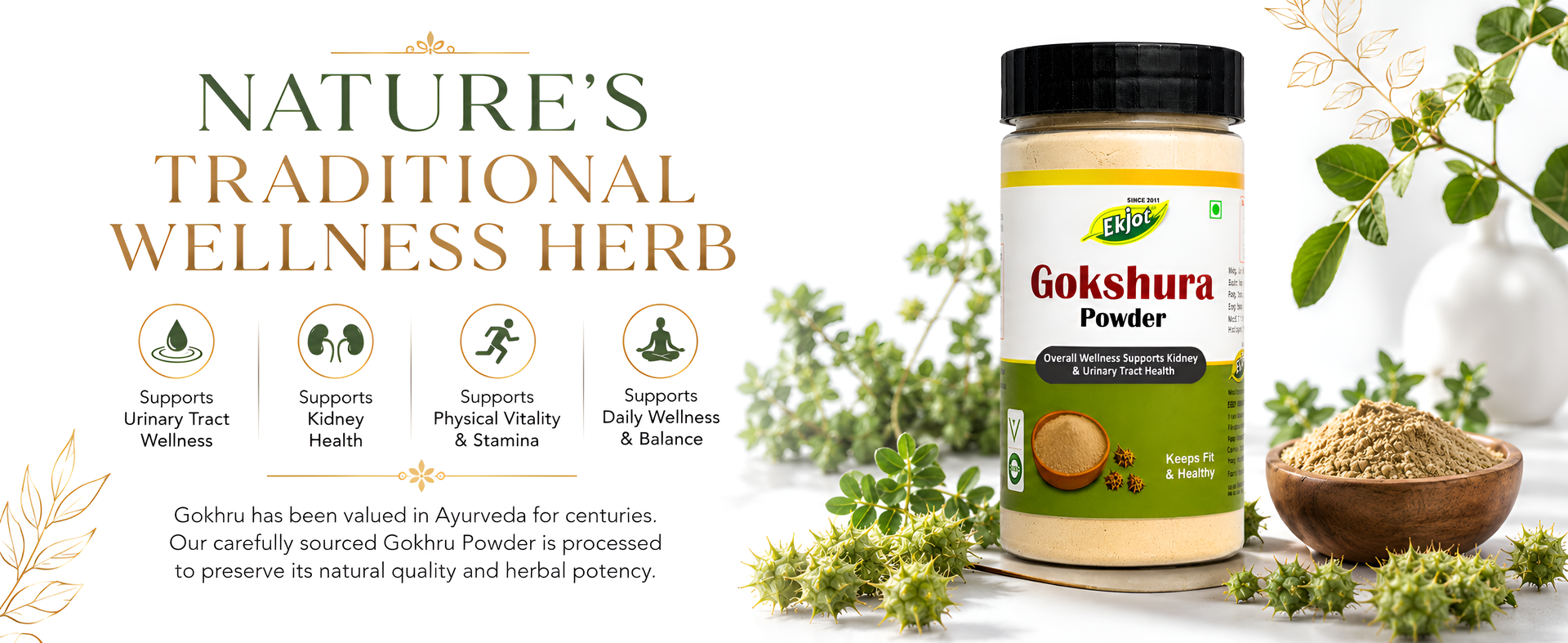Gokshura Powder Organic | Tribulus Terrestris | For Urinary Wellness & Vitality Support | Natural & Pure Gokhru Powder | Gokshura | No Additives | 100g