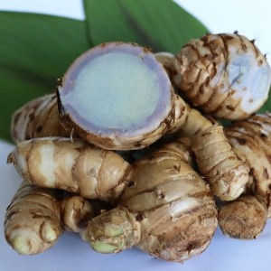 Holy Natural Black Turmeric Powder - 100 GM | Curcuma Caesia (Kali Haldi) | Pure, Natural & Dried Root Powder