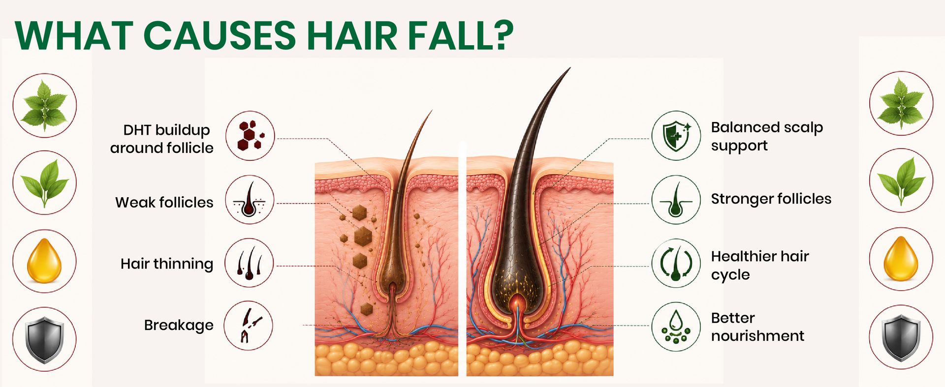 Vlado’s Himalayan Organics Pure Biotin, DHT Blocker Supplement, Plant-Based Vitamin B1, B2 , B3, B5, B6, B7 , B9, B12 , Vitamin c ,Vitamin D3 ( Cholecalciferol ) (With Goodness of Nettle Leaves | Helps Reduce Hair Fall, Controls Hair Fall, Stimulates Hair Follicles & Promotes Hair Growth | For Men And Women - 60 Veg Capsules