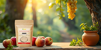 Potassium Sorbate 100gm pure, preservative Sorbate for cosmetics, personal care & Food Preservation natural organic Premium Potassium Sorbate – Ultra Pure Food Grade Preservative | E202 | Anti-Fungal Powder for Food, Wine & Cosmetics – Long Shelf Life (100g)