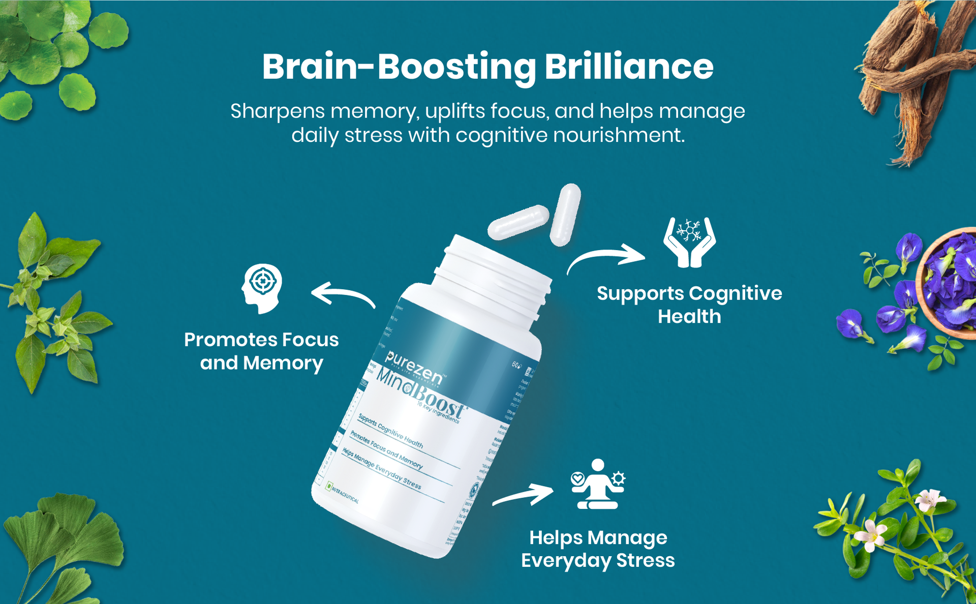 Purezen MindBoost | Brain Health Supplement for Focus, Clarity & Mental Performance | With Ginkgo, Ashwagandha, Omega-3 & Bacopa | 60 Capsules