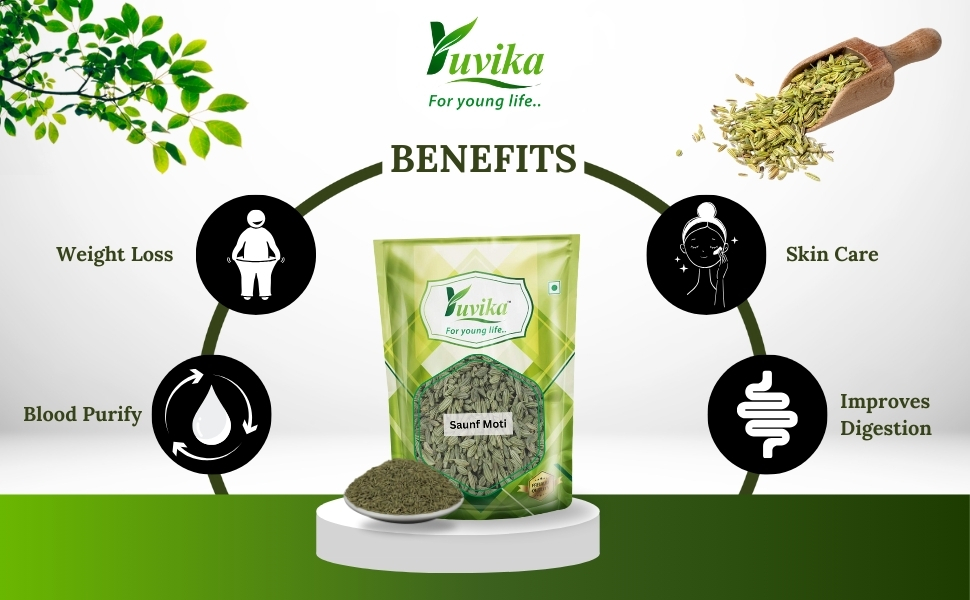Yuvika Saunf Moti - Sonf Moti - Foeniculum Vulgare - Fennel Seed Big 400 Grams