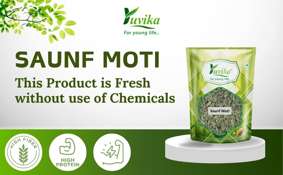 Yuvika Saunf Moti - Sonf Moti - Foeniculum Vulgare - Fennel Seed Big 100 Grams